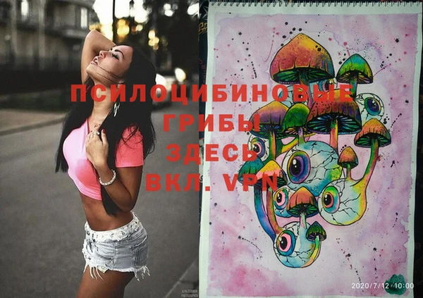 трава Аркадак