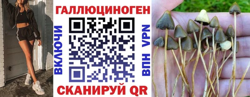 Купить где  Междуреченск  Галлюциногенные грибы мухоморы 